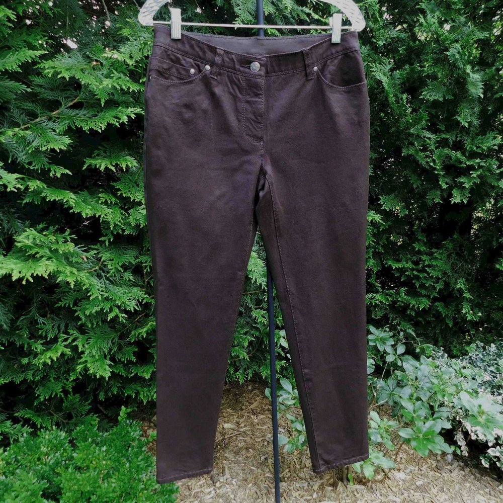 So Slimming by Chico's Dark Brown 5-Pkt Skinny Jeans